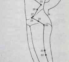 Lokacija in anatomija telesa točk za aromaterapijo. Meridian žolčnika