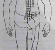 Lokacija in anatomija telesa točk za aromaterapijo. mehurja Meridian