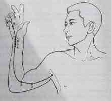 Lokacija in anatomija telesa točk za aromaterapijo. srce Meridian