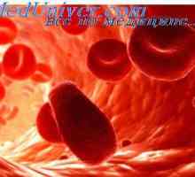 Eritrocitov. Struktura in sestava rdečih krvnih celic