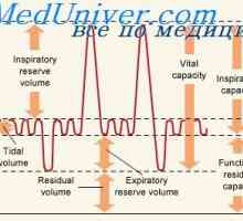 Respiratorni volumen minuto. alveolarni prezračevanje