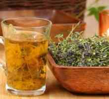 Recepti zdravljenje glist vazelin olje, bučna semena in homeopatijo