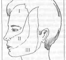 Vloga trigeminalnega živca v bolečinah obraza