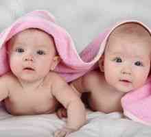 Rojstvo dvojčkov je verjetnost rojstva