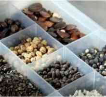 Zbiranje in skladiščenje semena