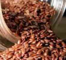 Lanena semena za zdravljenje želodčnih razjed