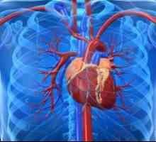 Srčno popuščanje v aterosklerotičnih cardiosclerosis, zdravljenje, vzroki