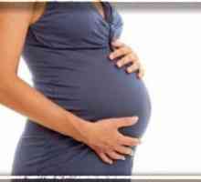 Sistemski lupus eritematozus in nosečnost