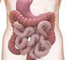 Skleroderma in gastrointestinalni trakt