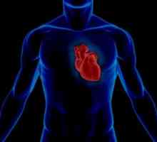 Statistika kardio vaskularnega sistema