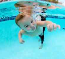 Kako se naučiti plavati otroka? Mnogi starši poskušajo naučiti svoje otroke plavati čim prej.