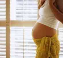Kako ugotoviti, koliko tednov nosečnosti. Kako določiti gestacijski starosti? Določanje čas poroda