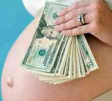 Danes surrogacy stroški bistveno zmanjšalo. Zakonodajna ureditev nadomestnega materinstva