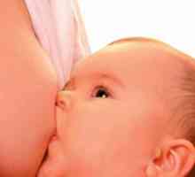Seznam izdelkov, za doječe matere. Kaj potrebujete, da bi mleko je hranljiva za vašega otroka?
