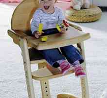 Izbira otroški stol otroka. Stoli za tipe hranjenje in izbirnimi merili. Izbira otroški stolček