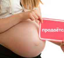 Zakon o nadomestno materinstvo v letu 2012. Zakonodaja, ki ureja uporabo nadomestnega materinstva v…