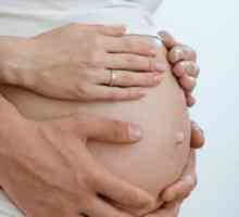 Posvetovanje žensk na 15. teden beremennosti.chto vedeti nosečnica v tem obdobju.