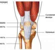 Kolka in kolena sklepov odraslih