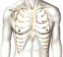 Prsna dostopa do notranjih organov skozi steno prsnega koša