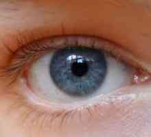 Trahom oči, zdravljenje in simptomi