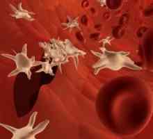 Trombocitov v krvi: to pomeni, da je stopnja trombocitov