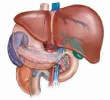 Tromboza jetrne arterije