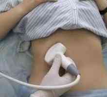 Ultrazvok (ultrazvočna diagnostika) trebušne slinavke, stopnja velikosti telesa