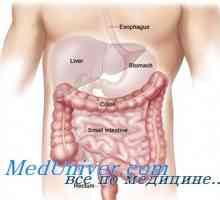 Vpliv ščitnice v želodcu. Želodec po tiroidektomiji tiroidektomije