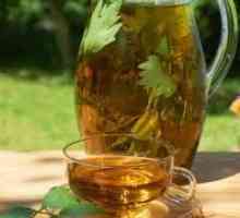 Zeleni čaj s pankreatitisom (trebušne slinavke), Kombucha, lahko pijem?
