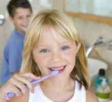 Zob pri otrocih, zobozdravstveno varstvo otrok