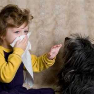 Alergije pri otrocih