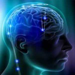 Intermeningeal subarahnoidno sistem možgani