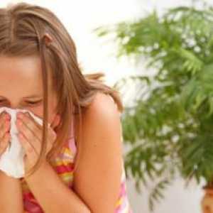 Bakterije vzrok bolezni dihal