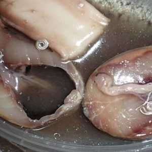 Ali obstajajo črvi v morskih ribah (baltski slanik, sinji mol)?