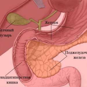 Gastritis in gastroduodenitis: kakšna je razlika?