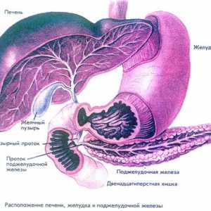 Hepatomegaliji steatoze pankreatitisu in pankreasa in jeter