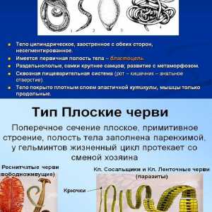 Skupine črvov, plesni in črvi razredi, klasifikacija infestacije s helminti po ICD-10