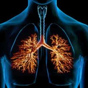 Kronični bronhitis, zdravljenje, simptomi, znaki, vzroki, preprečevanje, odkrivanje