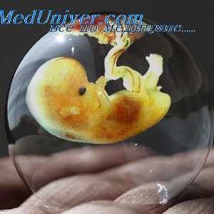 Spremembe v maternici med implantacijo. Struktura placente