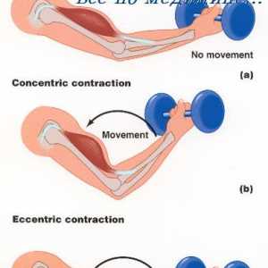 Učinki denervacijo mišic. rigor mortis