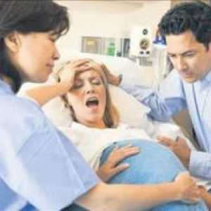 Endokrini nadzor porodu