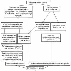 Etiologija in patogeneza osteoartritisa
