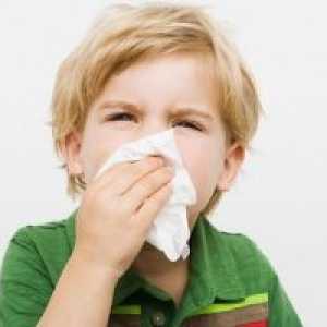 Kako nadzirati alergije pri otrocih