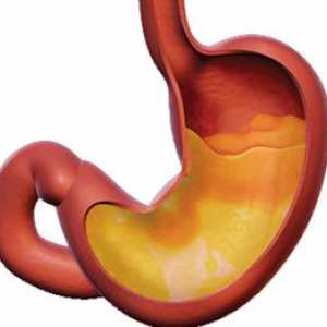 Kako Gastro vplivajo na kislost v želodcu
