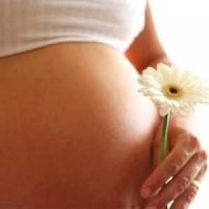 Kako se pripraviti na nosečnost
