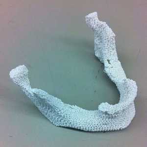 Bone vsadki 3d-tiskalnik naravnega kosti in plastičnih mas