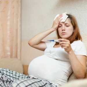 Črvi zdravljenja pri nosečnicah, kaj storiti s paraziti?