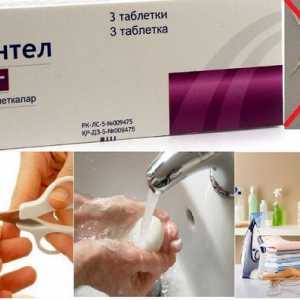 Najboljši in učinkovite tablete glist (Enterobiasis) pri odraslih in otrocih