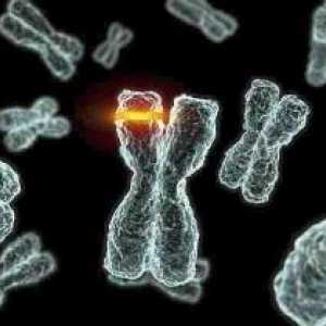 Mutacije, ki vodijo do dednih bolezni pri ljudeh