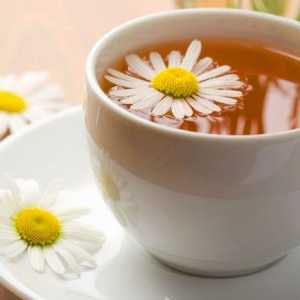 Tradicionalni recepti decoctions in čaji iz želodca